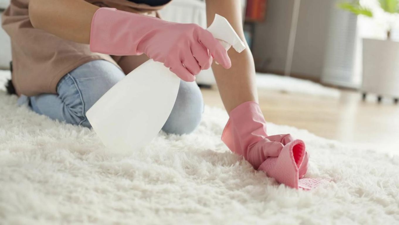 самостоятельная чистка ковролина